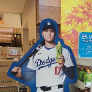 quest2fitness6@gmail.com